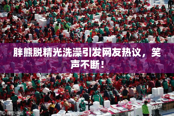 胖熊脱精光洗澡引发网友热议，笑声不断！