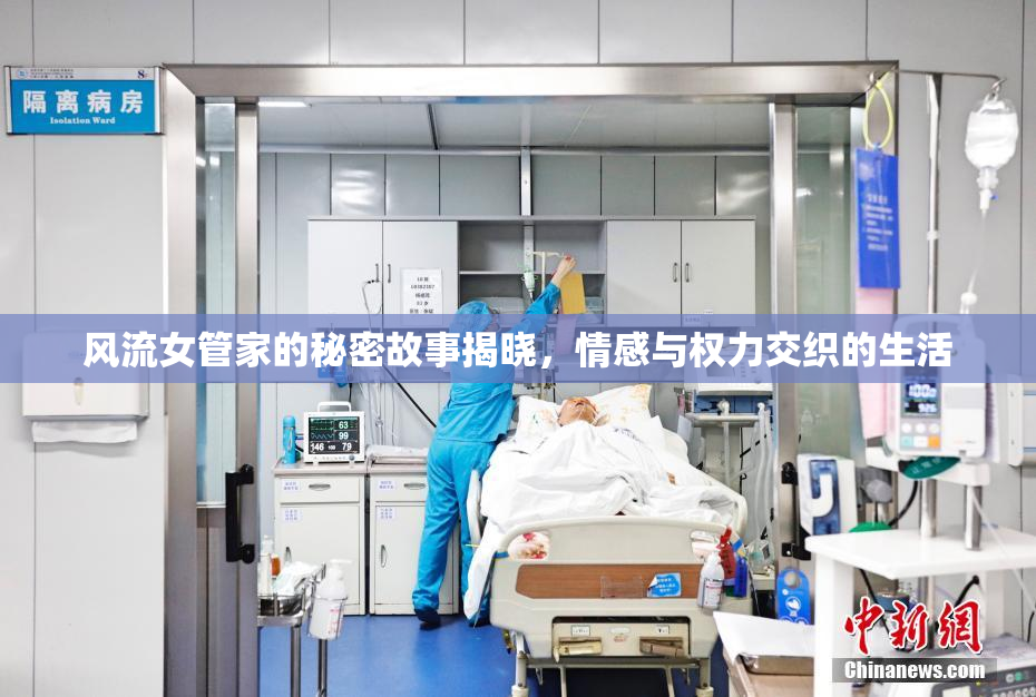 风流女管家的秘密故事揭晓，情感与权力交织的生活