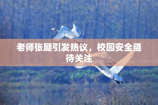 老师张腿引发热议，校园安全亟待关注
