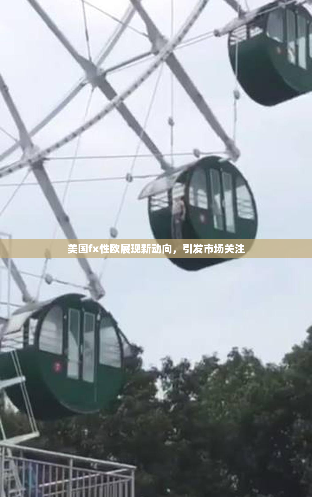 美国fx性欧展现新动向，引发市场关注