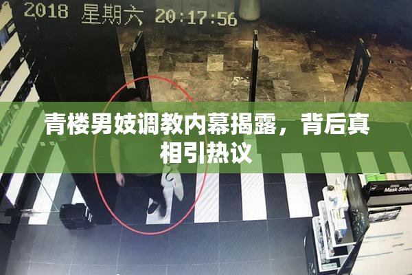 青楼男妓调教内幕揭露，背后真相引热议