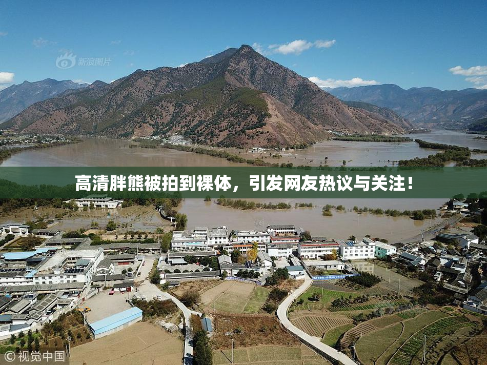 高清胖熊被拍到裸体，引发网友热议与关注！