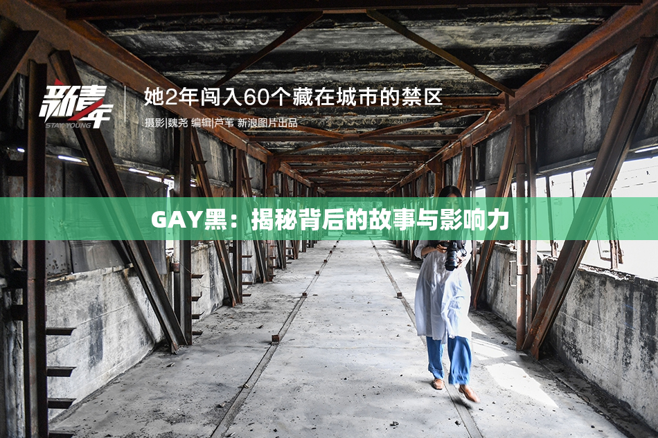 GAY黑：揭秘背后的故事与影响力