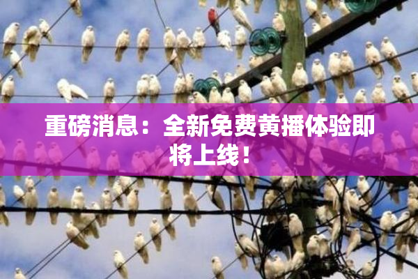 重磅消息：全新免费黄播体验即将上线！
