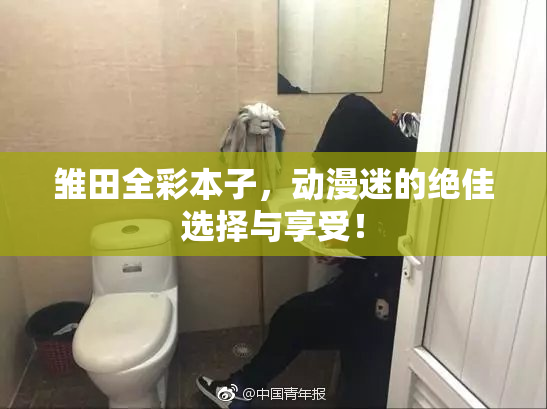 雏田全彩本子，动漫迷的绝佳选择与享受！
