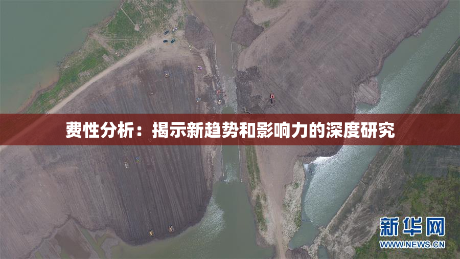费性分析：揭示新趋势和影响力的深度研究