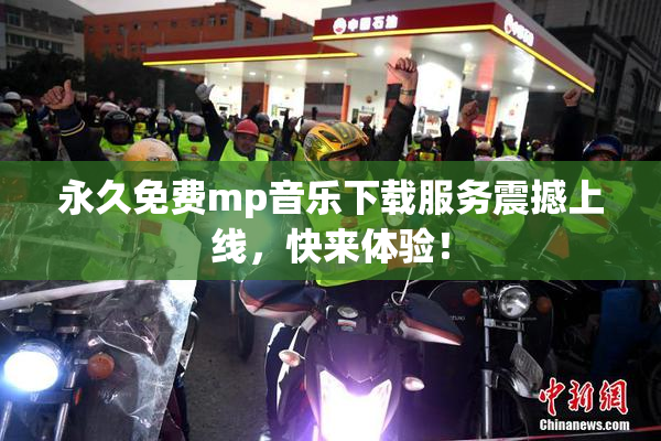 永久免费mp音乐下载服务震撼上线，快来体验！