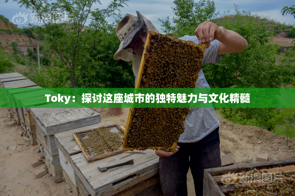 Toky：探讨这座城市的独特魅力与文化精髓