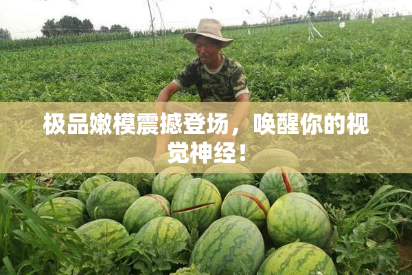 极品嫩模震撼登场，唤醒你的视觉神经！