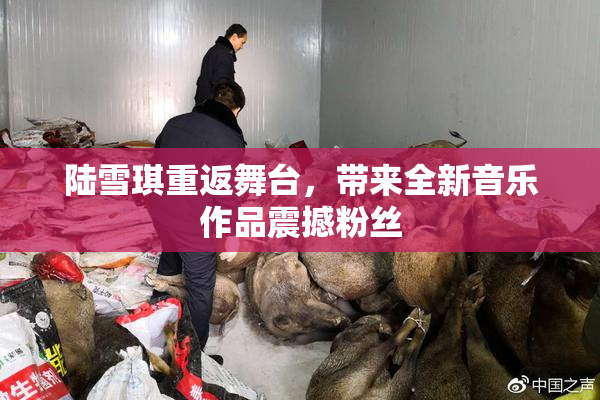 陆雪琪重返舞台，带来全新音乐作品震撼粉丝