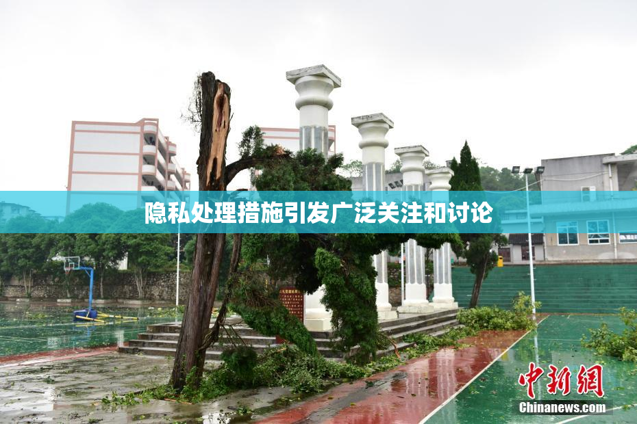 隐私处理措施引发广泛关注和讨论