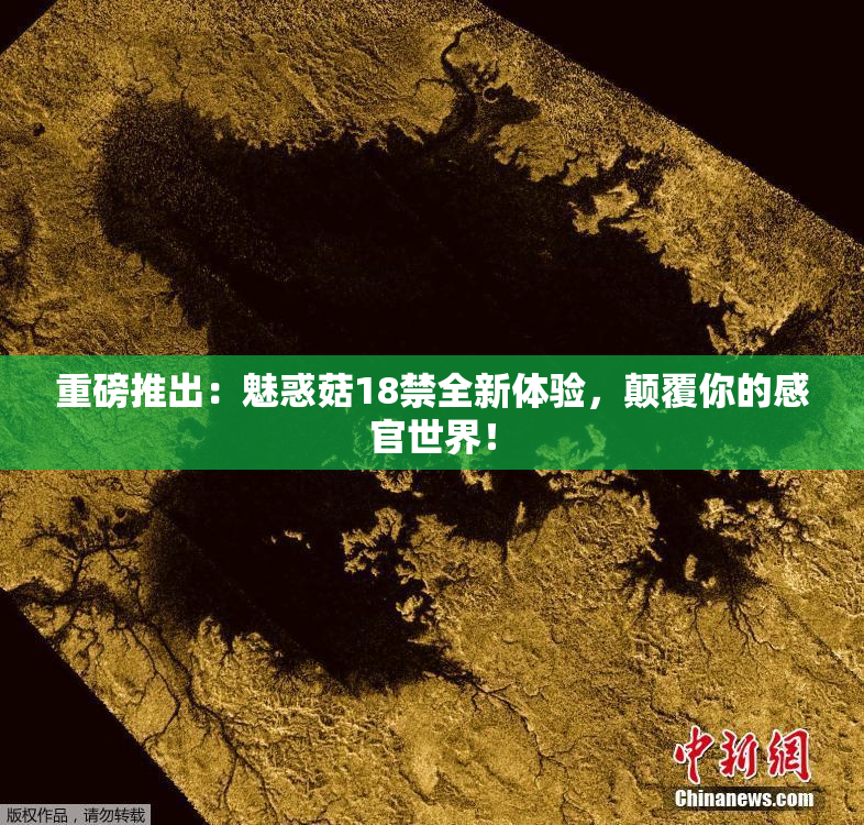 重磅推出：魅惑菇18禁全新体验，颠覆你的感官世界！