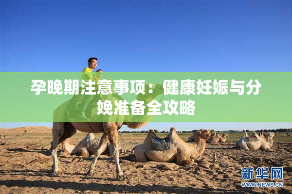孕晚期注意事项：健康妊娠与分娩准备全攻略