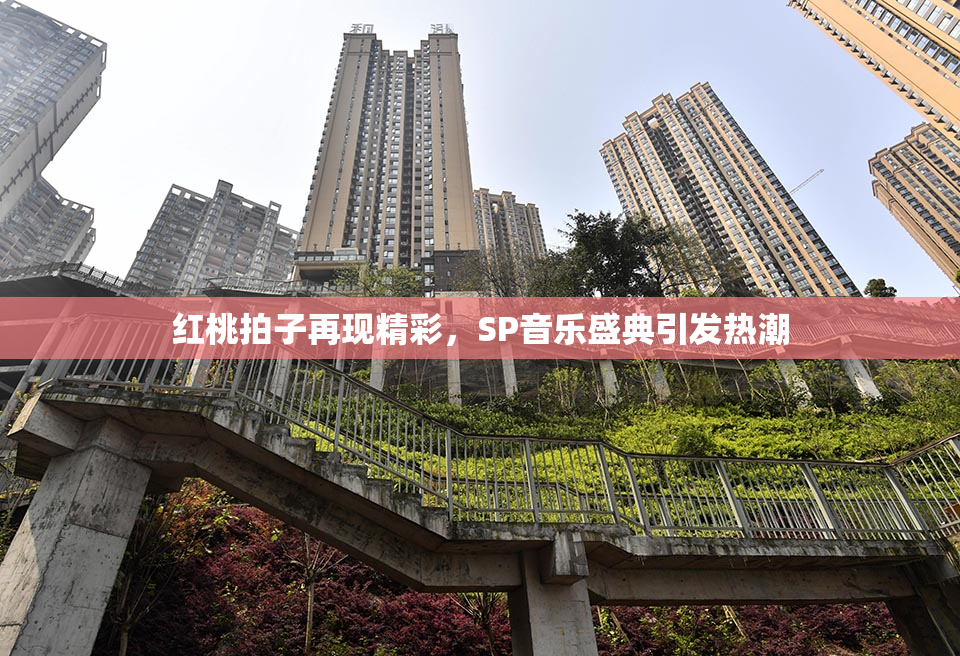 红桃拍子再现精彩，SP音乐盛典引发热潮