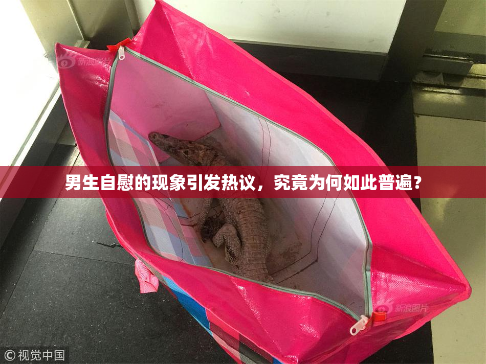 男生自慰的现象引发热议，究竟为何如此普遍？
