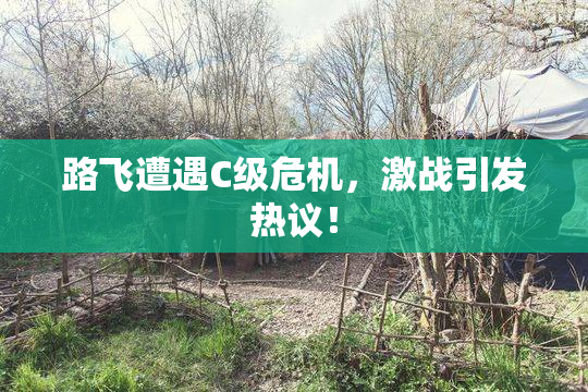路飞遭遇C级危机，激战引发热议！