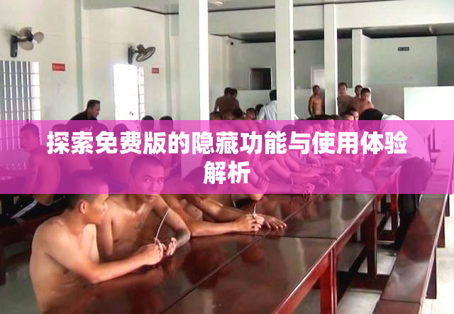 探索免费版的隐藏功能与使用体验解析