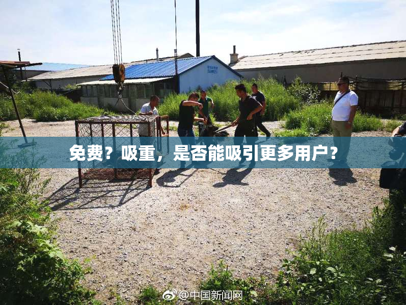 免费？吸重，是否能吸引更多用户？