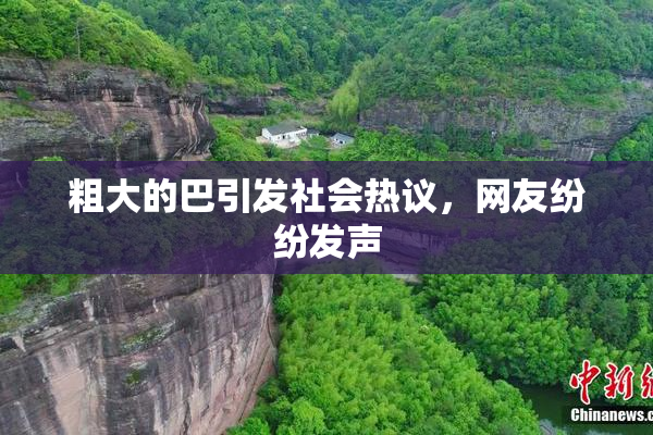 粗大的巴引发社会热议，网友纷纷发声