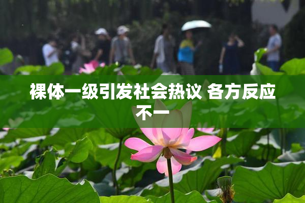 裸体一级引发社会热议 各方反应不一