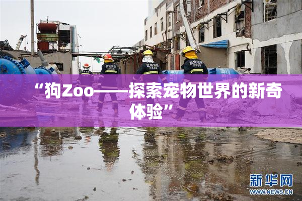 “狗Zoo——探索宠物世界的新奇体验”