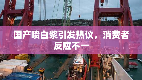 国产喷白浆引发热议，消费者反应不一