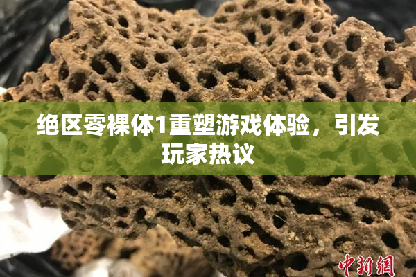 绝区零裸体1重塑游戏体验，引发玩家热议