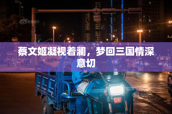 蔡文姬凝视着澜，梦回三国情深意切
