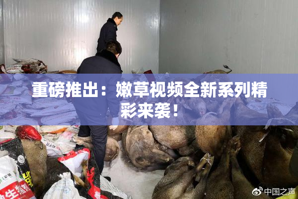 重磅推出：嫩草视频全新系列精彩来袭！