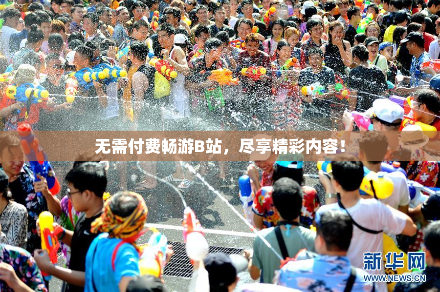 无需付费畅游B站，尽享精彩内容！