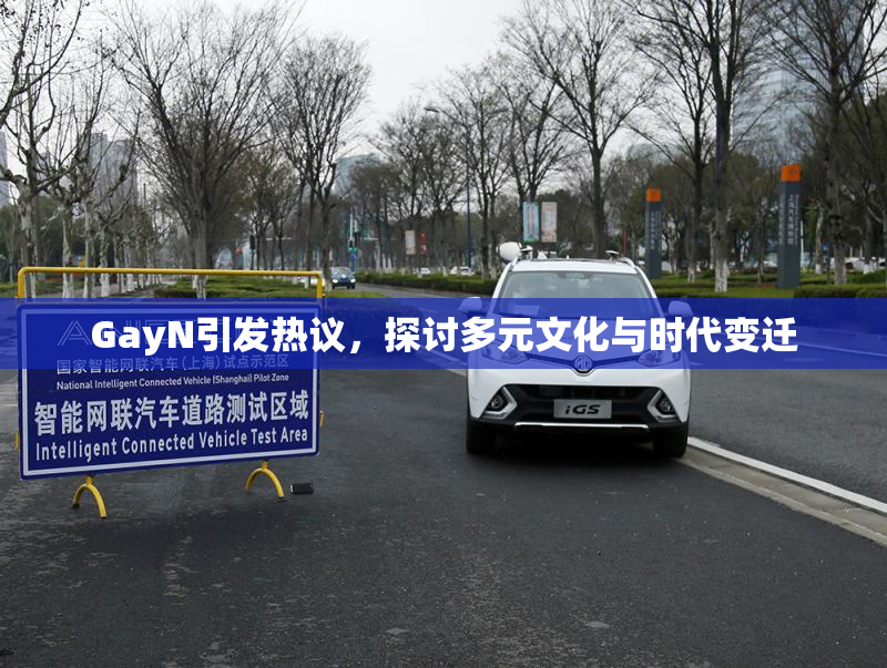 GayN引发热议，探讨多元文化与时代变迁