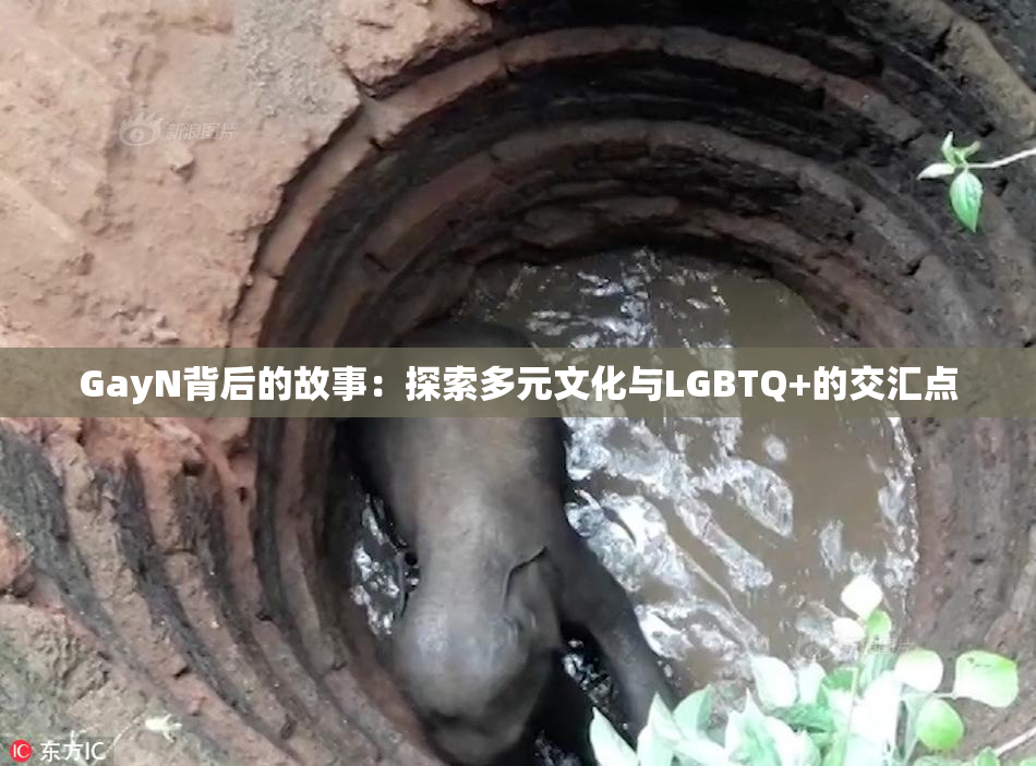 GayN背后的故事：探索多元文化与LGBTQ+的交汇点