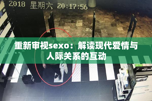 重新审视sexo：解读现代爱情与人际关系的互动