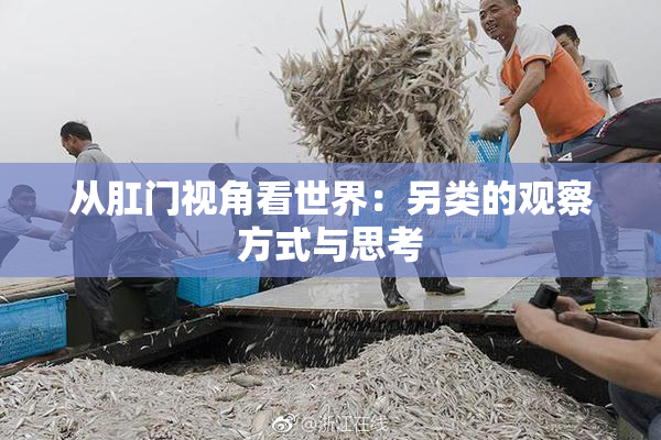 从肛门视角看世界：另类的观察方式与思考
