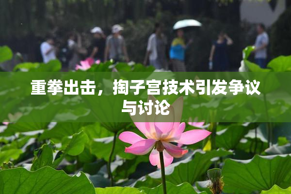 重拳出击，掏子宫技术引发争议与讨论