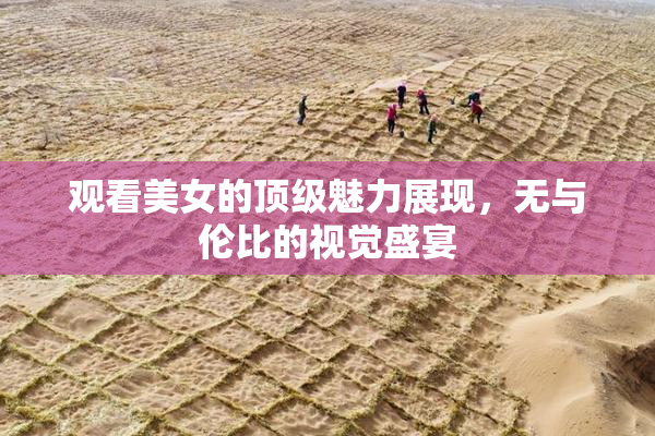 观看美女的顶级魅力展现，无与伦比的视觉盛宴