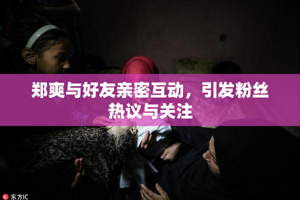 郑爽与好友亲密互动，引发粉丝热议与关注