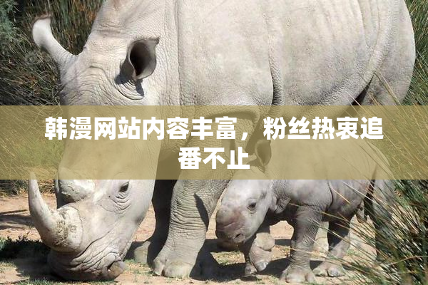 韩漫网站内容丰富，粉丝热衷追番不止