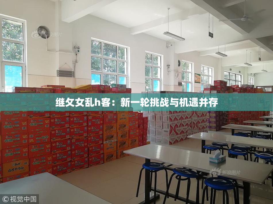 继攵女乱h客：新一轮挑战与机遇并存