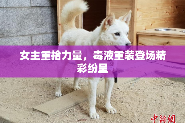 女主重拾力量，毒液重装登场精彩纷呈