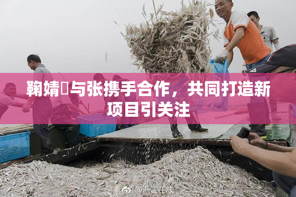 鞠婧祎与张携手合作，共同打造新项目引关注