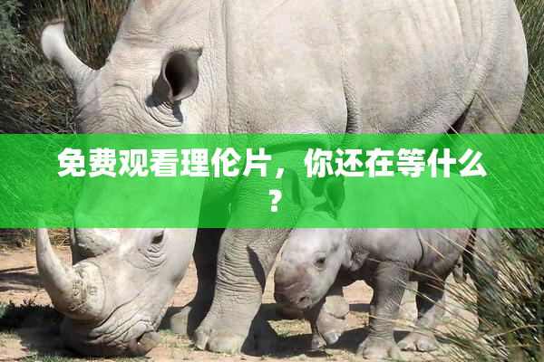 免费观看理伦片，你还在等什么？