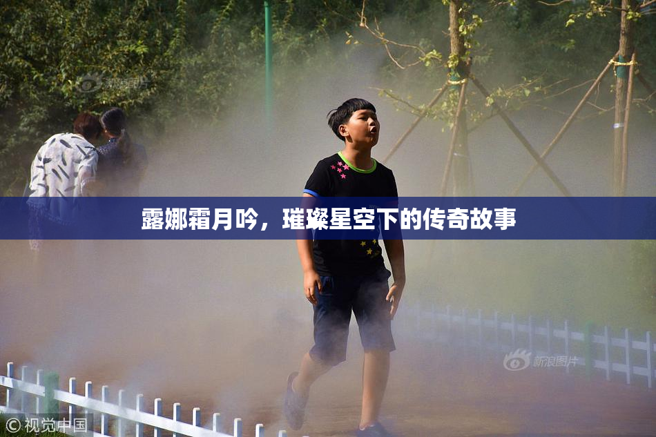 露娜霜月吟，璀璨星空下的传奇故事