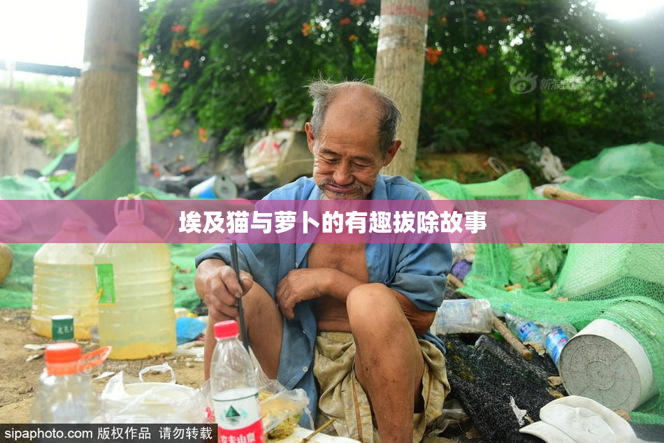埃及猫与萝卜的有趣拔除故事