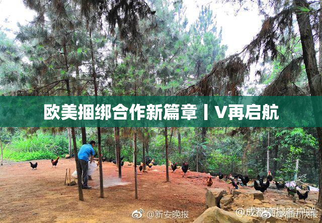 欧美捆绑合作新篇章丨V再启航