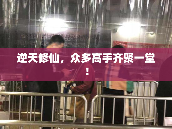 逆天修仙，众多高手齐聚一堂！