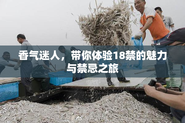 香气迷人，带你体验18禁的魅力与禁忌之旅