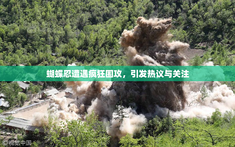 蝴蝶忍遭遇疯狂围攻，引发热议与关注