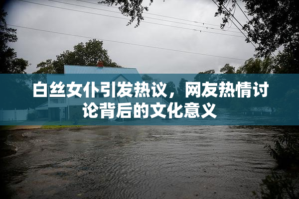 白丝女仆引发热议，网友热情讨论背后的文化意义