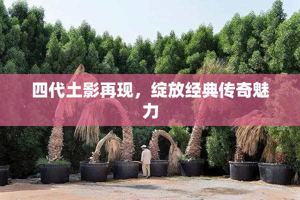四代土影再现，绽放经典传奇魅力